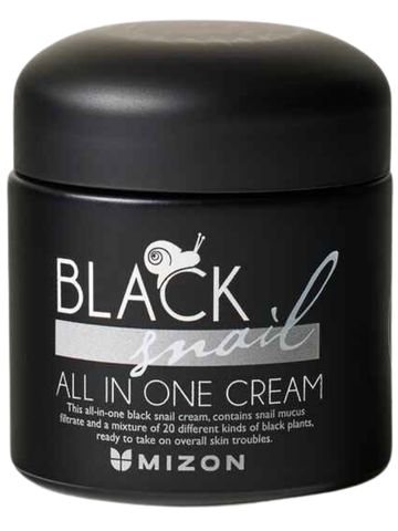 mizon-black-snail-all-in-one-cream.