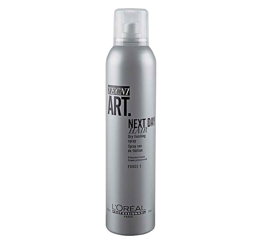 loreal proffesionels Next Day Hair.